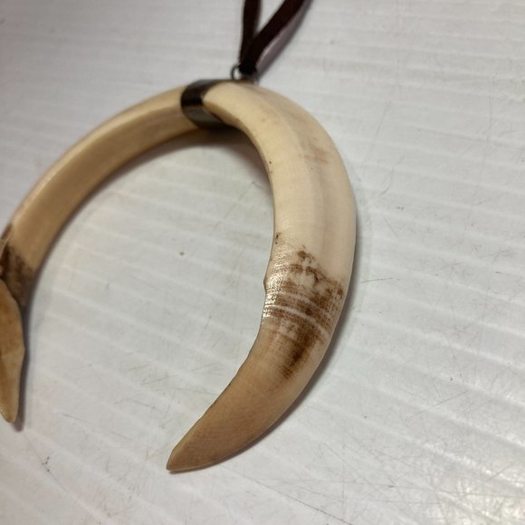 Wild Pig Warthog Tusk Necklace - Picture 4 of 10